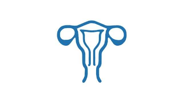 Urogynecology Icon
