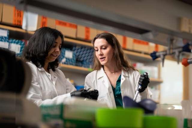 Cancer researchers collaborating in a UCLA lab