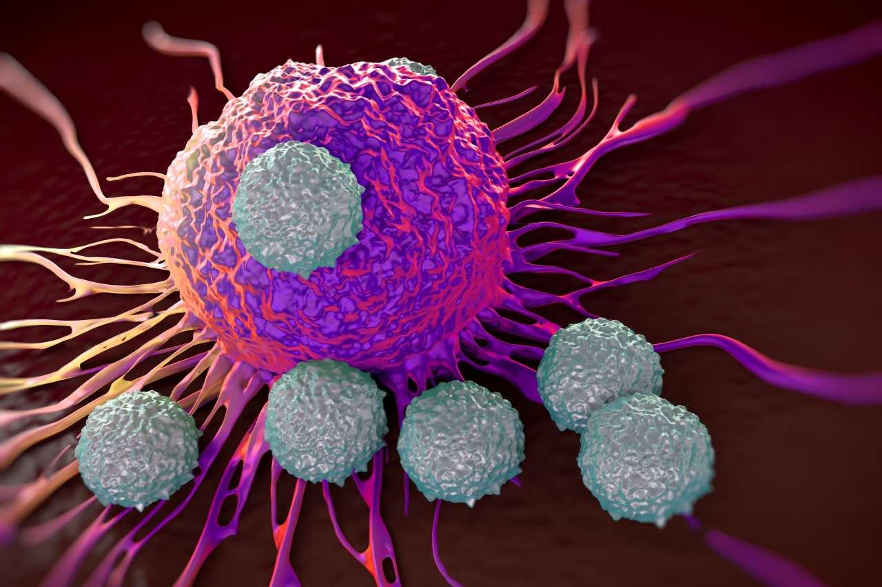 T cells attacking cancer tumor